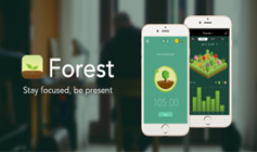 forestapp-8629090-9912621